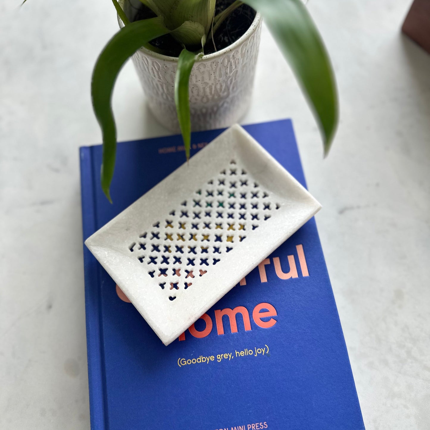 Blue book with decorative white dish and plant on a light surface