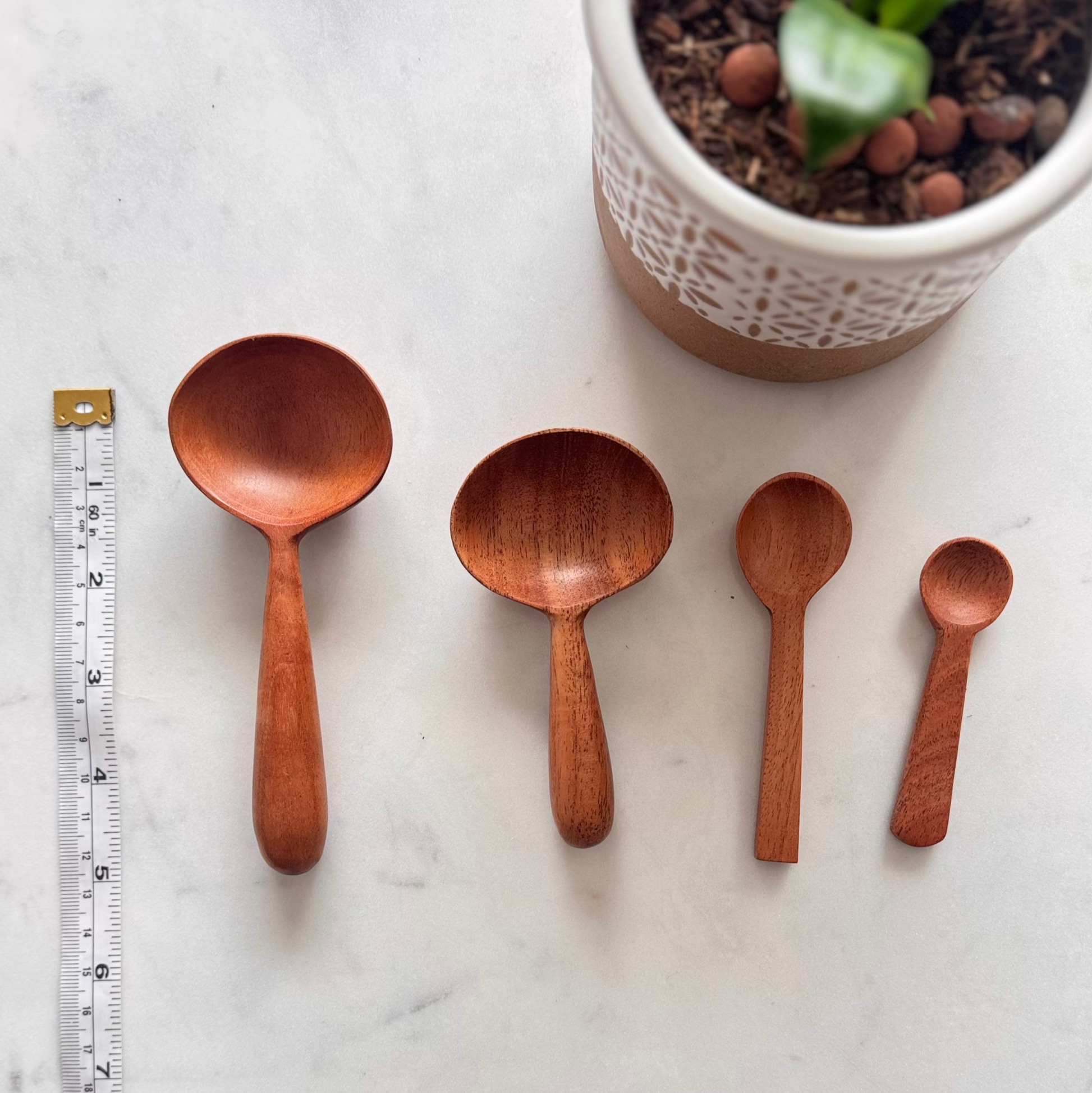 Four wooden spoons of different sizes on a marble surface with a potted plant.