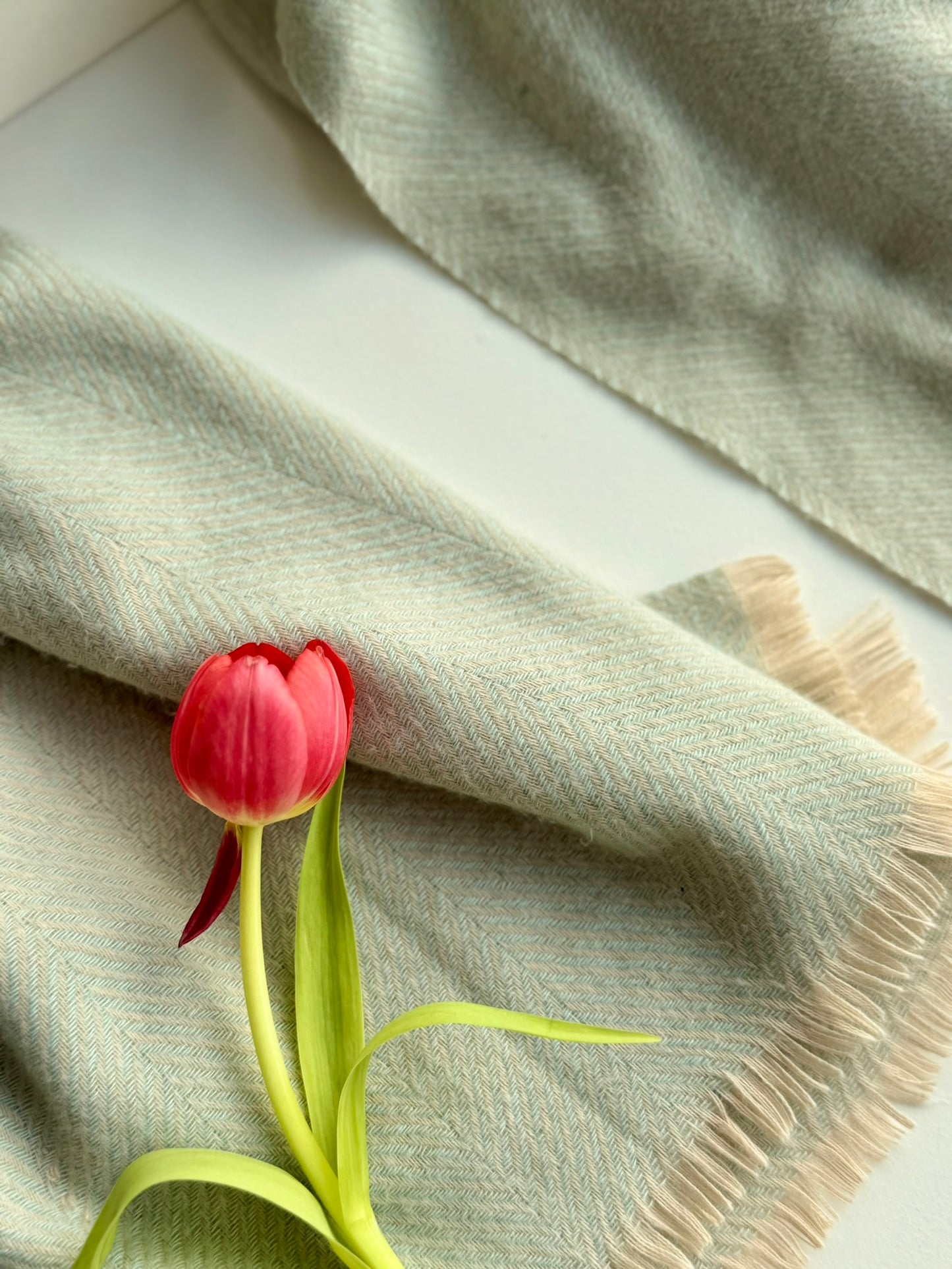 Cashmere Wrap