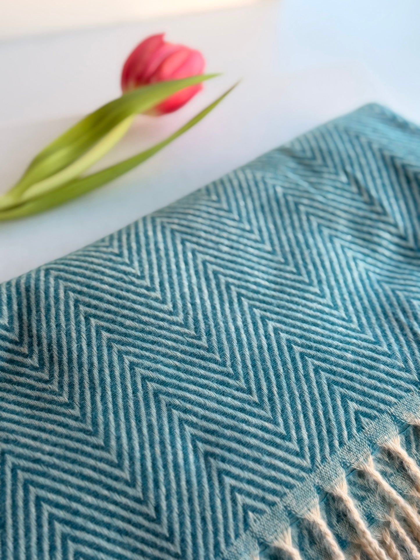 Cashmere Wrap